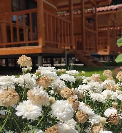 Arden Bungalows Adrasan *