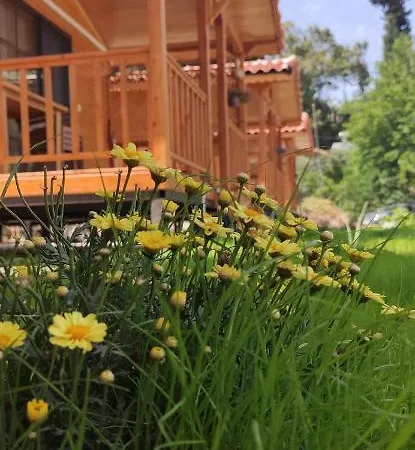 Arden Bungalows Adrasan Apartment Kumluca